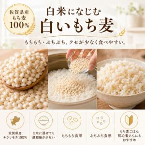ふるさと納税 江北町 佐賀県産 もち麦 キラリ...の詳細画像1