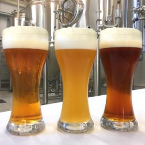 ふるさと納税 泉佐野市 KIX BEER(3種...の詳細画像2