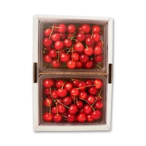 ふるさと納税 村山市 さくらんぼ 佐藤錦 L玉 約700g(約350g×2パック)