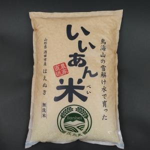 無洗米はえぬき　白米5kg×2袋　合計10kg