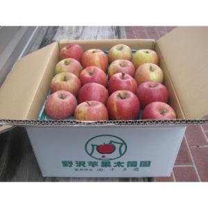 ふるさと納税 青森市 青森県産りんご「葉取らずサンふじ&amp;王林」約10kg(家庭用)