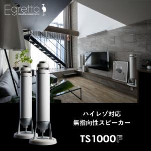 ふるさと納税 北広島町 Egretta(エグレッタ)ハイレゾ対応無指向性タワー型スピーカー　TS1000F