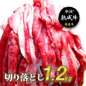 ふるさと納税 泉佐野市 【氷温熟成牛】切り落とし1.2kg 010B332