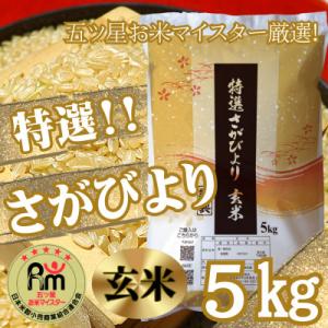 ふるさと納税 みやき町 《特選さがびより》玄米5kg【みやき町産】_SS128｜さとふる