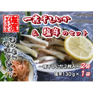 天日干し 一夜干しいか&塩辛のセット