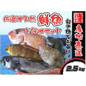 ふるさと納税 佐渡市 佐渡産 天然お任せ鮮魚セット 2.5kg