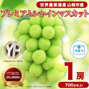 2026年発送 フルーツ王国山梨産厳選 大房シャインマスカット 1房 (約700～800g)