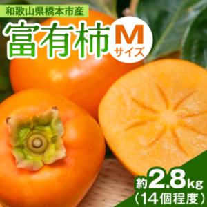 柿【2026年度発送分】ケーズファーム　富有柿　M　14個程度(約2.8kg)
