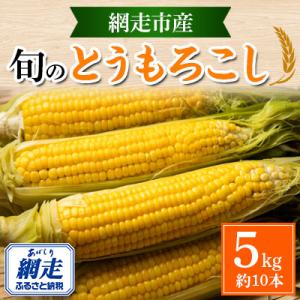 ふるさと納税 網走市 【先行受付】北海道網走産 美味とうもろこしセット 5kg(約10本)