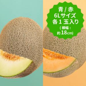 【2026年先行予約】飯岡メロン　青肉&赤肉食べ比べ!　6Lサイズ(約2.2kg)×各1玉セット