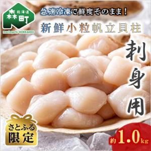 ふるさと納税 ホタテ 森町 【さとふる限定】刺身用新鮮小粒帆立貝柱(約1.0kg)