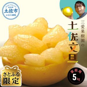 【さとふる限定】三愛果樹園の土佐文旦　　家庭用約5kg