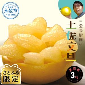 【さとふる限定】三愛果樹園の土佐文旦　家庭用約3kg