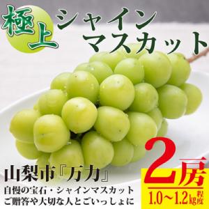 ふるさと納税 山梨市 【2026年発送 】生産者直送『万力』極上シャインマスカット2房　計1kg〜1.2kg程度