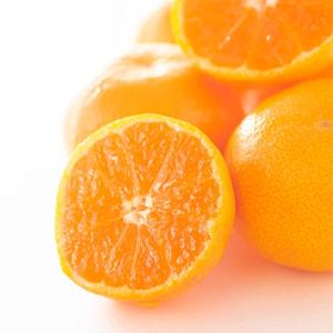 ふるさと納税 海南市 下津蔵出しみかん　小粒サイズ　S又はSSサイズ約5kg　秀品