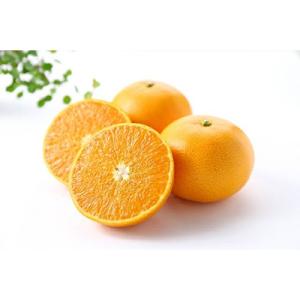ご家庭用せとか3kg