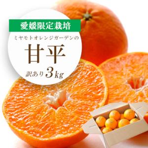 【先行受付】愛媛限定栽培柑橘 甘平(かんぺい)3kg【訳あり】【E25-137】