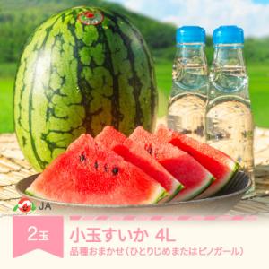 【先行予約】小玉すいか 品種おまかせ 4L×2玉 山形県村山市産
