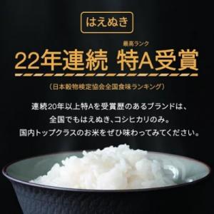 ふるさと納税 村山市 新米 令和8年産 はえぬ...の詳細画像1