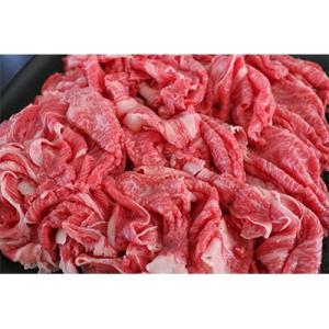 ふるさと納税 宇土市 【肉三代目】　黒毛和牛切り落とし1000g(500g×2)