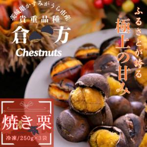 2026年度産甘さ抜群!貴重品種『倉方』の焼き栗　250g×3セット(冷凍)