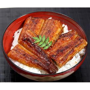 ふるさと納税 有田市 国産うなぎ蒲焼きカット500gセット