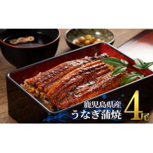 ふるさと納税 鹿屋市 鹿児島県産 うなぎ蒲焼き ...の商品画像