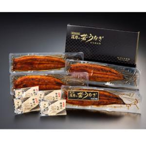 ふるさと納税 鹿屋市 鹿児島県産 うなぎ蒲焼き...の詳細画像2