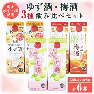梅酒・ゆず酒　500mlパック　6本セット(3種類×各2本)
