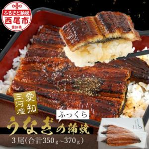 三河産うなぎ「蒲焼冷凍×3尾(350g～370g)」・A084-21