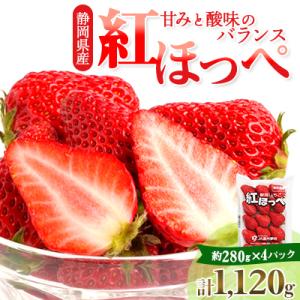 【先行受付　2027年発送】静岡県掛川市産　ミズノ農園の完熟いちご　『紅ほっぺ』約280g×4パック