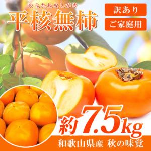 ふるさと納税 広川町 【ご家庭用わけあり】和歌山秋の味覚　平核無柿(ひらたねなしがき)　約7.5kg...