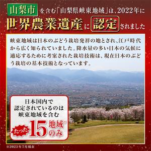 ふるさと納税 山梨市 【2026年発送】農家直...の詳細画像3