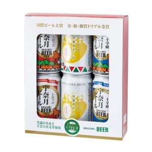 ふるさと納税 黒部市 宇奈月ビールセット 【A-19】