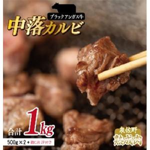 ふるさと納税 泉佐野市 【9月30日受付終了】ブラックアンガス中落カルビ 1kg(500g×2) 熟成肉 099H934