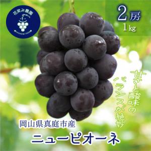 ふるさと納税 真庭市 【2026年先行受付】岡山　花笑み農園の『ニューピオーネ』1kg(2房)　P-1