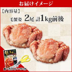 ふるさと納税 弟子屈町 毛蟹 姿 2尾 計1k...の詳細画像3
