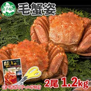ふるさと納税 弟子屈町 毛蟹 姿 2尾 計1.2kg前後 ボイル 食べ方ガイド・専用ハサミ付 北海道 弟子屈町 3335