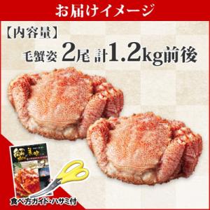ふるさと納税 弟子屈町 毛蟹 姿 2尾 計1....の詳細画像3