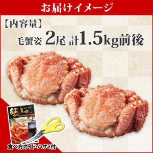 ふるさと納税 弟子屈町 毛蟹 姿 2尾 計1....の詳細画像3