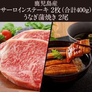 ふるさと納税 鹿屋市 鹿児島産 A4 黒毛和牛サーロインステーキ400g(2枚入)&amp;うなぎ2尾