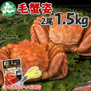 ふるさと納税 弟子屈町 【のし付】毛蟹 姿 2尾 計1.5kg前後 ボイル 蟹ハサミ・ガイド付 北海道 弟子屈町 3336