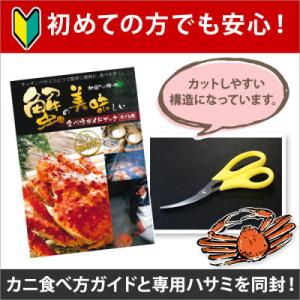 ふるさと納税 弟子屈町 【のし付】毛蟹 姿 2...の詳細画像3