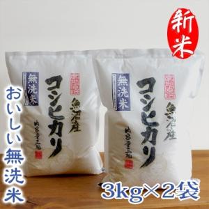 ふるさと納税 魚沼市 【令和3年産】お米マイスター厳選　魚沼産コシヒカリ100%　6kg(3kg×2袋)