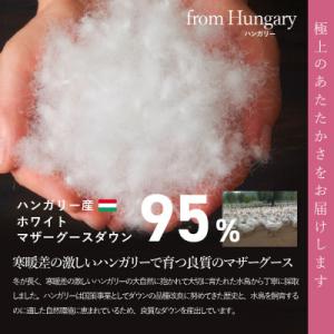 ふるさと納税 富士吉田市 羽毛本掛け布団 ダブ...の詳細画像1