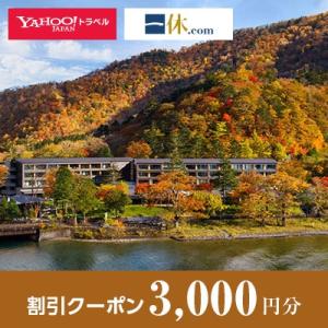 ふるさと納税 日光市 【栃木県日光市】一休.com・Yahoo!トラベル割引クーポン(3,000円分)