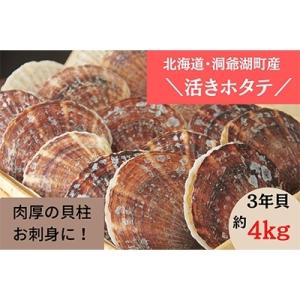 ふるさと納税 洞爺湖町 【2023年2月出荷!】約4.0kg!活ほたて3年貝(13枚〜20枚)