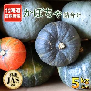 かぼちゃ栽培時期