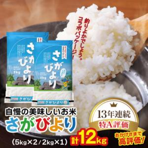 ふるさと納税 吉野ヶ里町 令和5年産 さがびより12kg《期間限定》