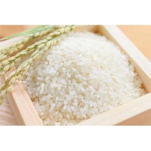 ふるさと納税 吉野ヶ里町 令和7年産 さがびよ...の詳細画像2